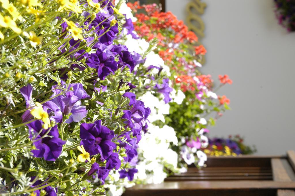 Debra Park Hotel Moena Ngoại thất bức ảnh